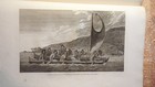 Masked Hawaiians